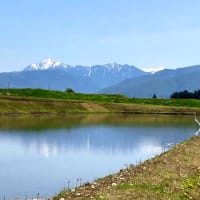 水張る田が点在する八ヶ岳山麓をコーヒー配達に走り回る。