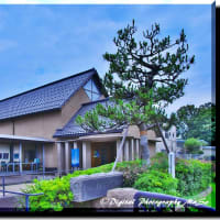 新涼----　銭屋五兵衛・記念館から！【その01編】