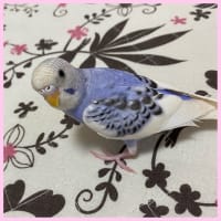 荒ぶるぷぅちゃん