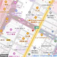１月の東京ミッドタウン八重洲：八重洲通りから眺める八重洲セントラルタワー　ＰＡＲＴ２
