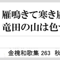 金槐和歌集263　雁鳴きて