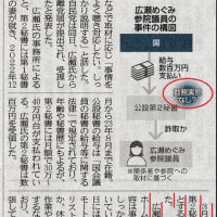 秘書給与をだまし取る広瀬めぐみ国会議員をなぜ逮捕しないのか！