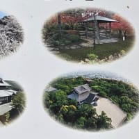東山山頂公園、将軍塚