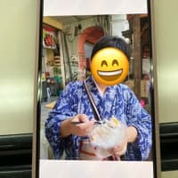 犬と猫との暮らし～自分で縫ったしじらをマレーシアで着ました💕