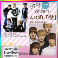 ☆【韓流】SECRET STORY BOOK/ノート＆ダイアリー【KPOP】☆