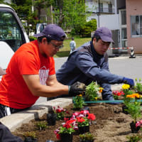 季節は初夏へ　施設での花壇造成