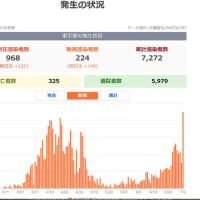 Saat Netizen という韓国製セキュリティソフトは信用できるか 独断