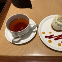 有料カウンセリング1周年