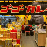 金沢でなでしこジャパンvsガーナを見る。