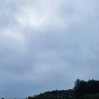 朝空