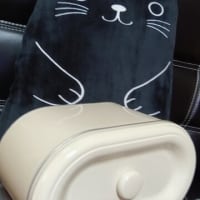 また発見