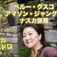 ペルーの旅路⭐️クスコ・アマゾン・ピサック・マチュピチュ・アヤワスカなどについて