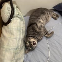 いくら呼ばれても・・・（苦笑