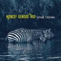 大分久しぶり　Small  Stories  /  Moncef Genoud  