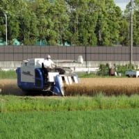 2歳戦がStart･･