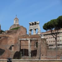 古代ローマ時代の遺跡「Foro Romano（フォロ・ロマーノ）」を歩く
