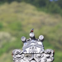 例年通りに