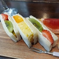 半月ぶりの金剛山（761回目）