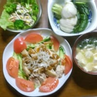 ６/５　ばんごはん　棒棒鶏