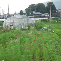 2013.7.30保津