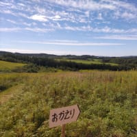 秋晴れの中追分駅、安平町を歩く