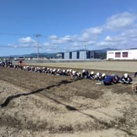 磯部小学校創立１５０周年記念事業「ひまわり畑」種まき