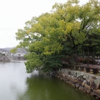 岡山城に行ってきました