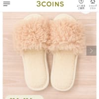 買って悪かったモノ (スリッパ/3COINSの可愛いやつ；病気でバランスが取れないため)