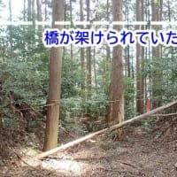 丸子城 駿河 その２ 　東海道を扼する規模が大きく城郭遺構がてんこ盛りの山城