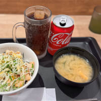 松屋　炙りマヨ辣鶏めし