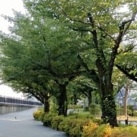 隅田公園