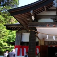 箱根町仙石原の公時神社にて、5月5日の端午の節句に「金時祭」として盛大に行われます！