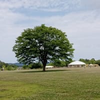 誰もいない公園