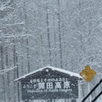 2021年1/1～今日の開田高原雪景色