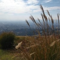 ビバ！若草山！