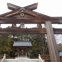 ２月の収穫～山編