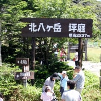 お盆