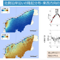 能登半島地震＃SAR画像解析による地盤変動の特徴ALOS-2（だいち２号）衛星データ・・・＃2024.1.9 ＃東北⼤学・・・