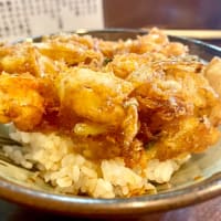 三河島うどん かみや（三河島）あいもり【そば•きしめん】＋ミニかき揚げ丼＋シャブ皿＋えのき＋いかから揚げ＋揚げ出し豆腐