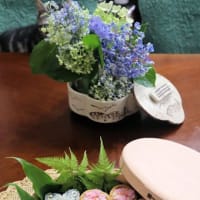 梅雨…　紫陽花いなり＆子カエル寿司