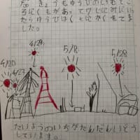 表彰状を頂きました
