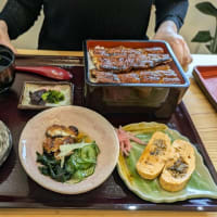 田園風景を楽しんで