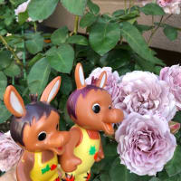 ロバくんと紫色の薔薇