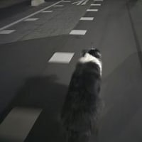 いろいろ思う。。。