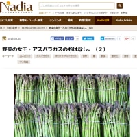 パクリ画像を検証するにはgoogleの類似検索機能を使用 パクり 剽窃は直ちに斬る 問答無用web侍 パクリ画像を検証するにはgoogleの類似検索機能を使用 パクり 剽窃は直ちに斬る 問答無用web侍