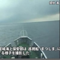 海上保安庁の「津波が来る映像」が公開されてました。
