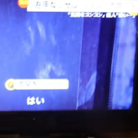   6/6 日本人って冷たい　誰もこの左手のない猿を助けない