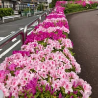 やる気スイッチは何処に？
