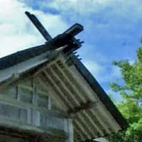 海鳥のサンクチュアリ　天売島と森林浴を楽しむメルヘンの焼尻島　６６回目　焼尻島