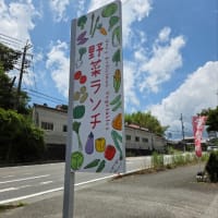 留守番してたチビ＆デカチワワです